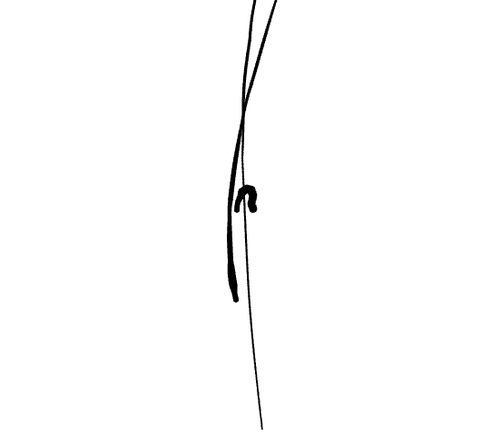 No data