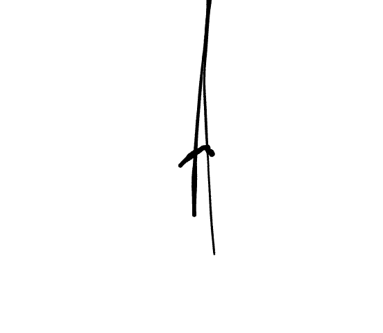No data
