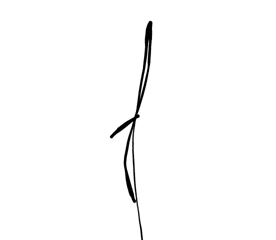 No data