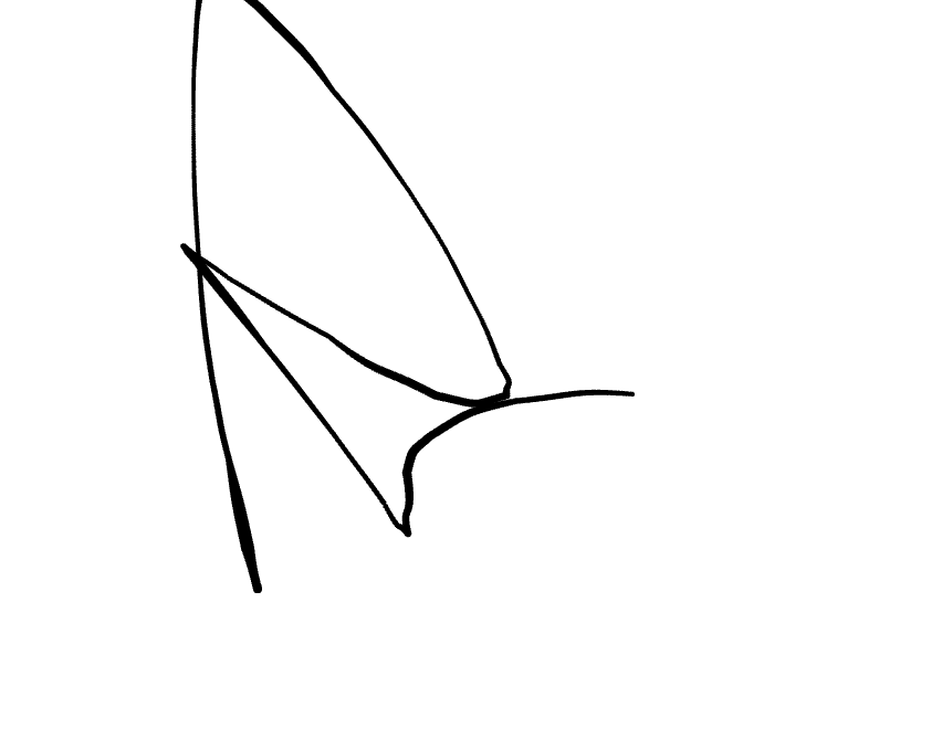 No data