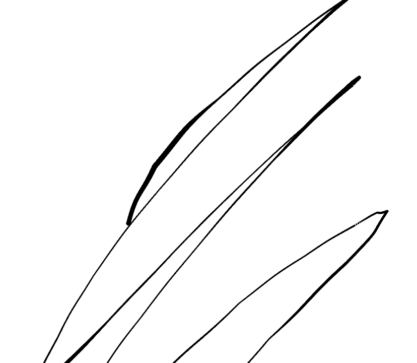 No data