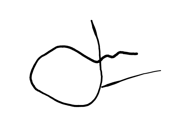 No data