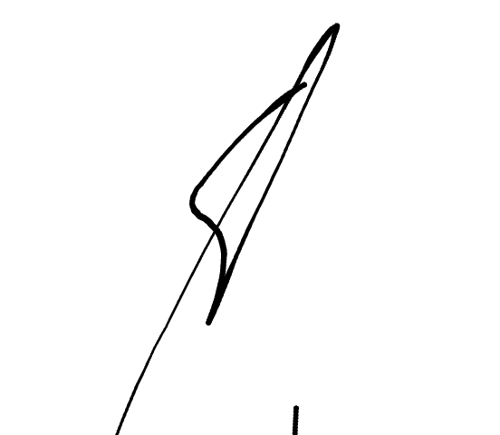 No data